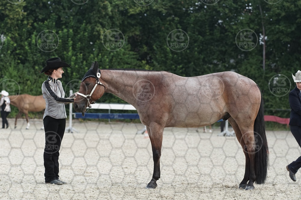 DSC00185.JPG